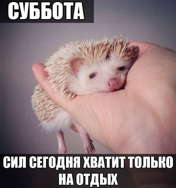 ЁУББЩА ВИП еноднп ХВАТИТ только ни отдых