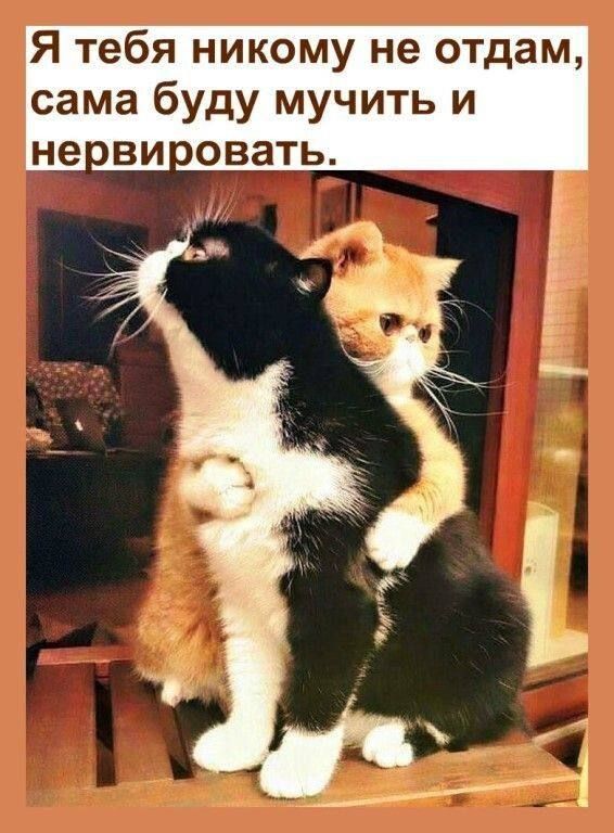 Я тебя никому не отдам сама буду мучить и не ви овать чта ___