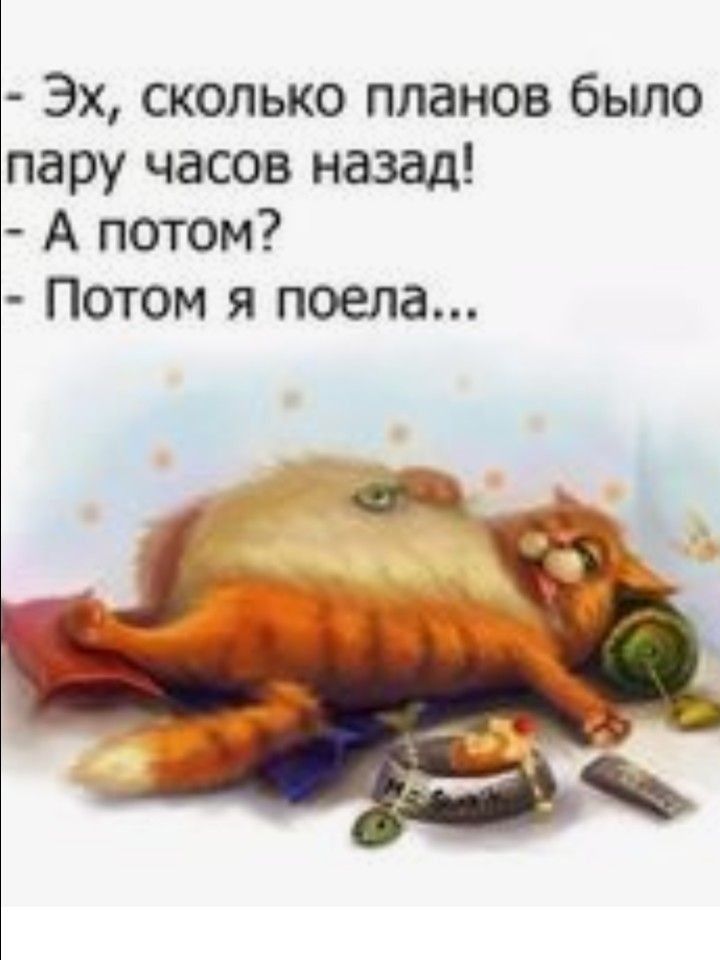 Эх сколько планов было пару часов назад А потом Потом я поела