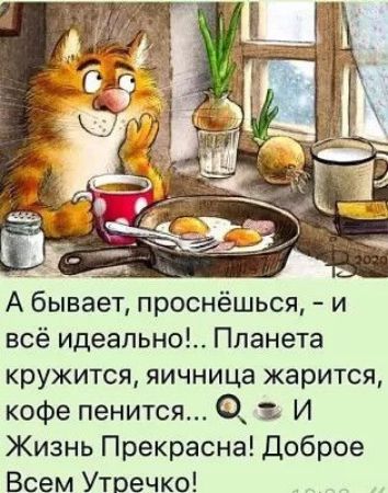 А бывает проснёшься и всё идеально Планета кружится яичница жарится кофе пенится 0 1 И Жизнь Прекрасна Доброе Всем Утоечко