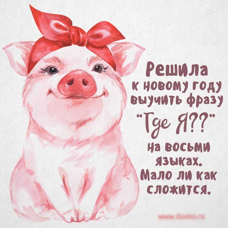 Решила новому году 1 пщчть фраз дд где Я из восьми 1 Языки Ч 5 мало ли как сложипя