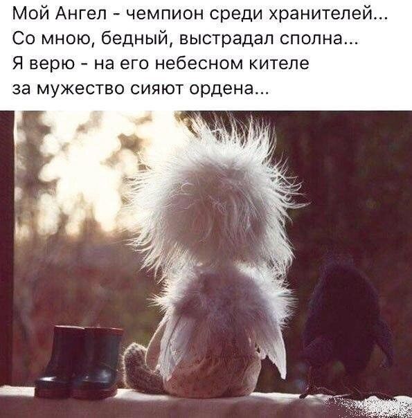 Мой Ангел чемпион среди хранителей Со мною бедный выстрадап сполна Я верю на его небесном кителе за мужество сияют ордена
