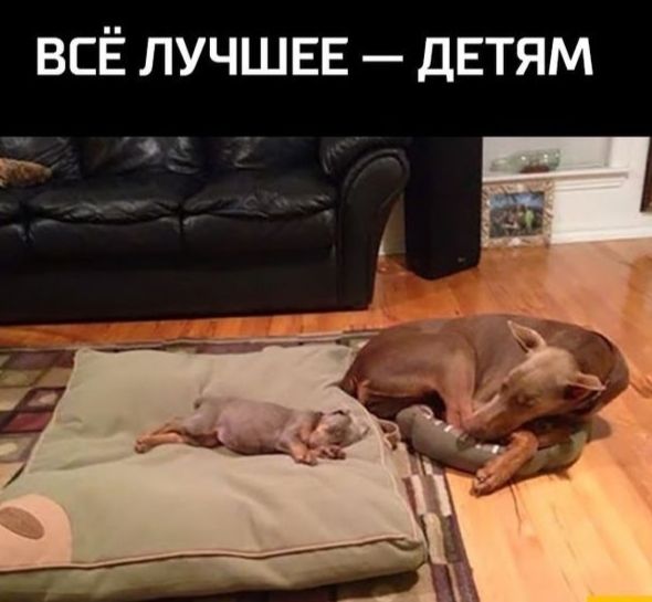 ВСЁ лучшвв дЕтям