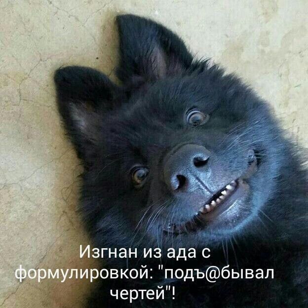 згнан из ада с ровкой подъбывап чертей