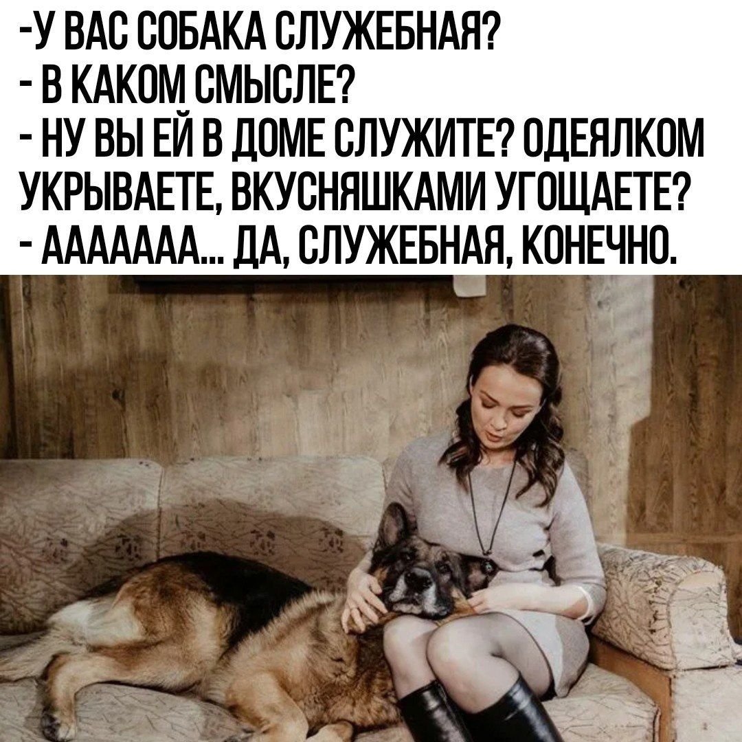 У ВАС СОБАКА СЛУЖЕБНАН В КАКПМ ВМЫППЕ НУ ВЫ ЕЙ В ДОМЕ БЛУЖИТЕ ПДЕЯЛКПМ УКРЫВАЕТЕ БКУВННШКАМИ УГОЩАЕТЕ ААААААА дА СЛУЖЕБНАН КОНЕЧНО