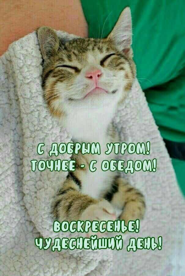 даним жни Почти г 1