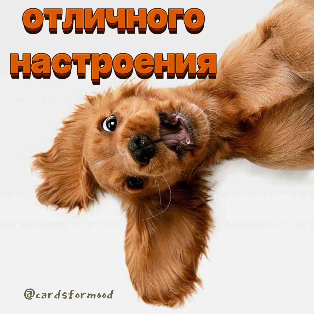 тличного настроения