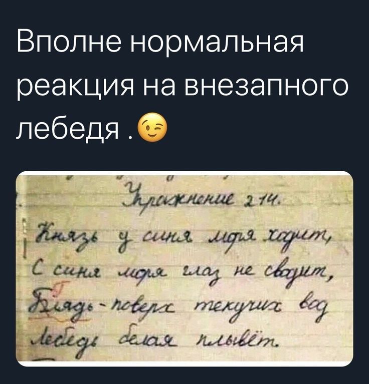 Вполне нормальная реакция на внезапного лебедя Щитсаг т ЕМ тиц цщлуцль С Егціщ 933 ди 1414 д С ХЗ7 вёхах щимли