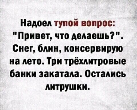 Надоел тупой вопрос Привет что делаешь Снег блин коисервирую на лето Три трёхдитровые банки закатала Остались литрушки