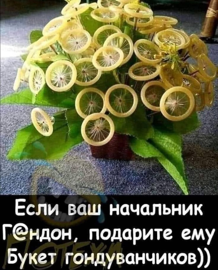 Если ваш начальник Гндон подарите ему Букет гондуванчиков
