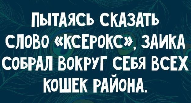 ПЫТАЯСЪ СКАЗАТЬ слово КСЕРОКС здикд СОБРАЛ вокруг _сввя ВСЕХ кошвк РАИОНА
