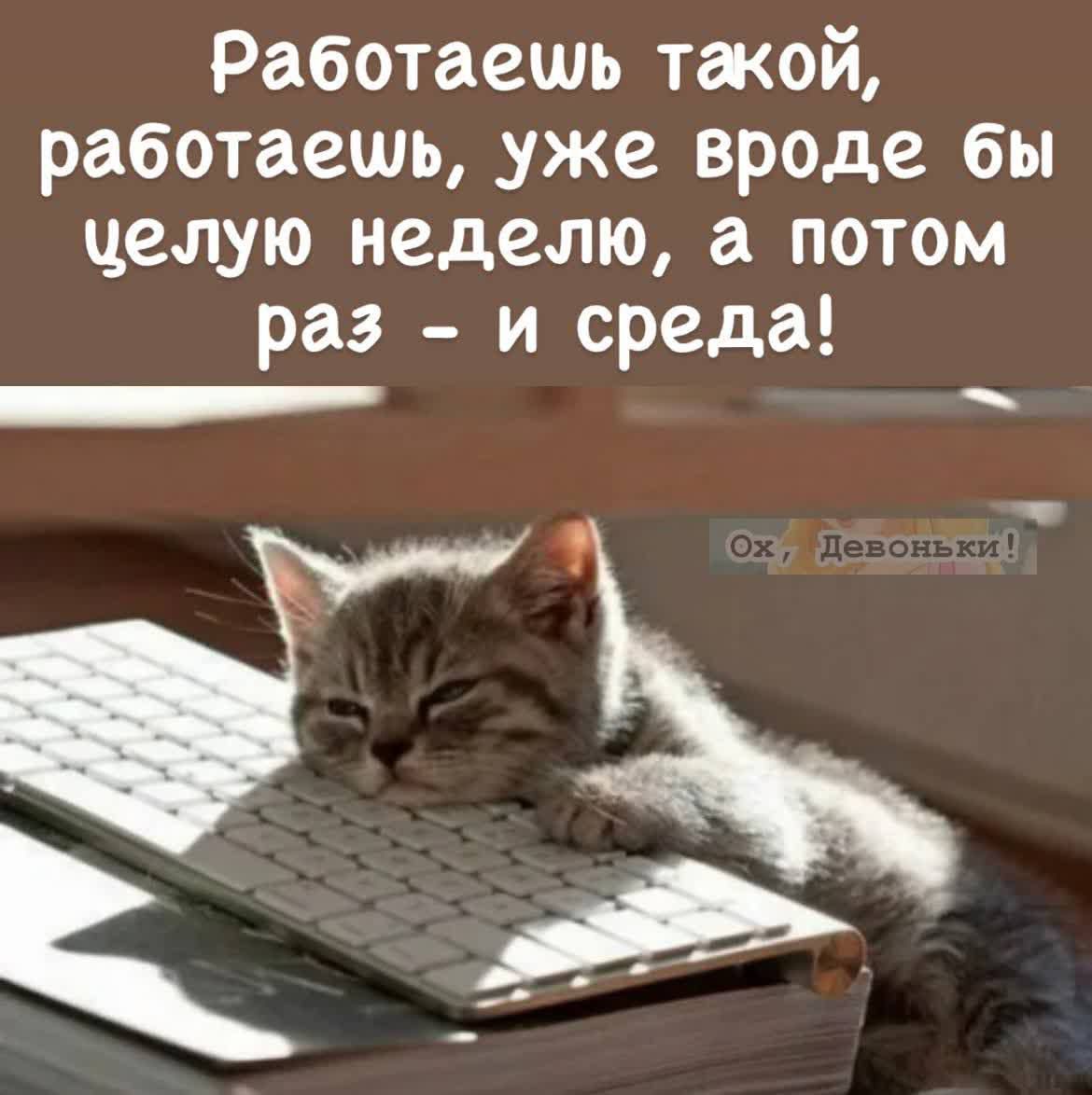 Работаешь такой работаешь уже вроде бы целую неделю а потом раз и среда Ё