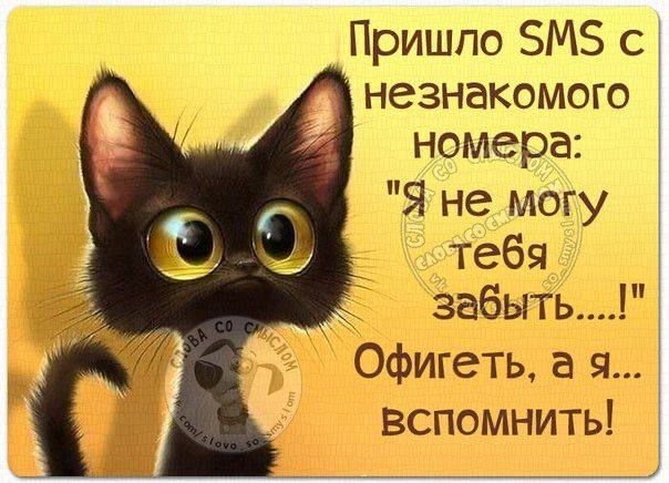 Пришпо ЗМЗ с незнакомого номера Я не могу тебя забыть Офигеть а я вспомнить