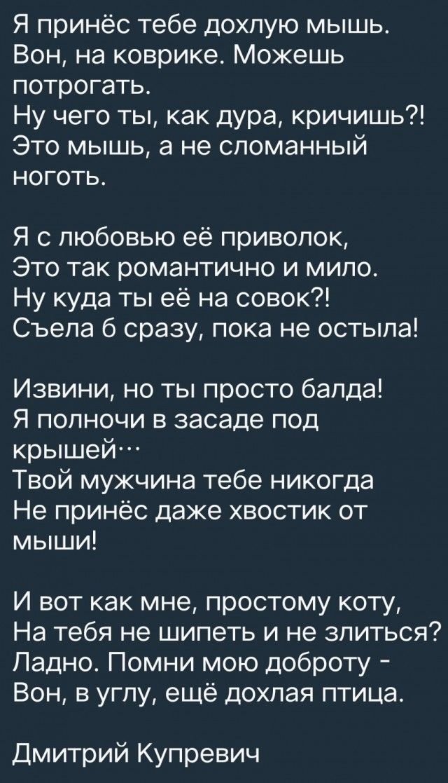 Я принёс тебе дохлую мышь Вон на коврике Можешь потрогать Ну чего ты как дура кричишь Это мышь 3 не сломанный ноготь Я с любовью её приволок Это так романтично и мило Ну куда ты её на совок Съепа б сразу пока не остыпа Извини но ты просто бапда Я попночи в засаде под крышей Твой мужчина тебе никогда Не принёс даже хвостик от мыши И вот как мне простому коту На тебя не шипеть и не зпиться Ладно Пом