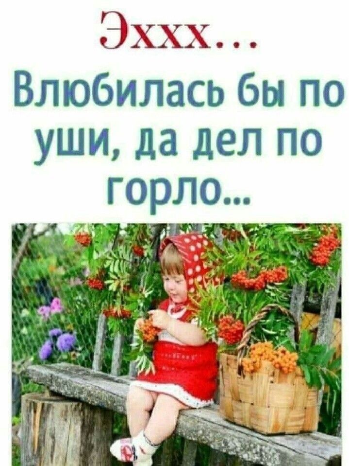 ЭХХХ Влюбилась бы по уши да дел по г9рл9