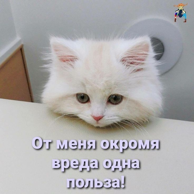 3 О мазь 1 шрам 1 319331