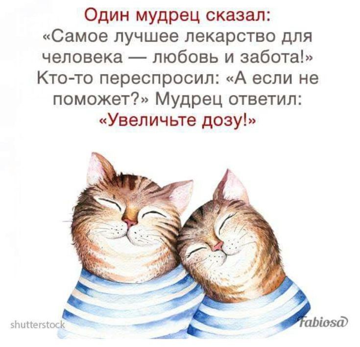 Один мудрец сказал Самое лучшее лекарство для человека любовь и забота Кто то переспросил А если не поможет Мудрец ответил Увеличьте дозу