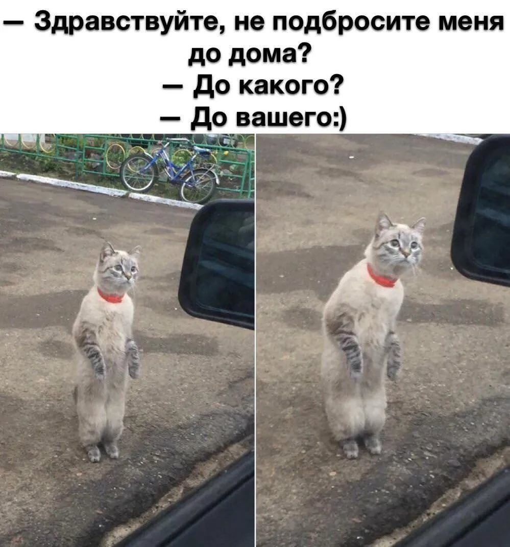 Здравствуйте ив подбросите меня до дома до какого до итого