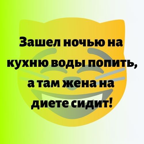 Зашел ночью на кухню воды попить а там жена на диете сидит