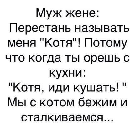 Муж жене Перестань называть меня Котя Потому что когда ты орешь с кухни Котя иди кушать Мы с котом бежим и сталкиваемся