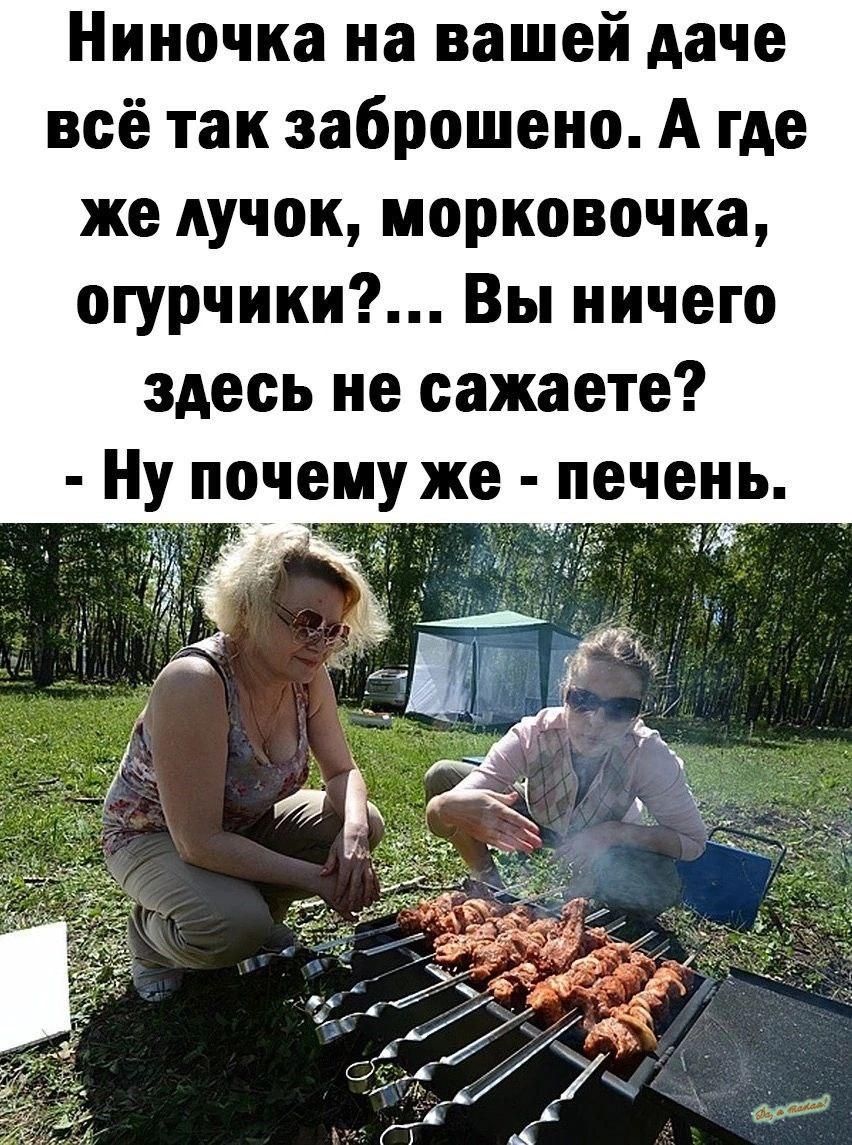 Ниночка на вашей даче всё так заброшено А где же дучок иорковочка огурчики Вы ничего здесь не сажаете Ну почему же печень гд