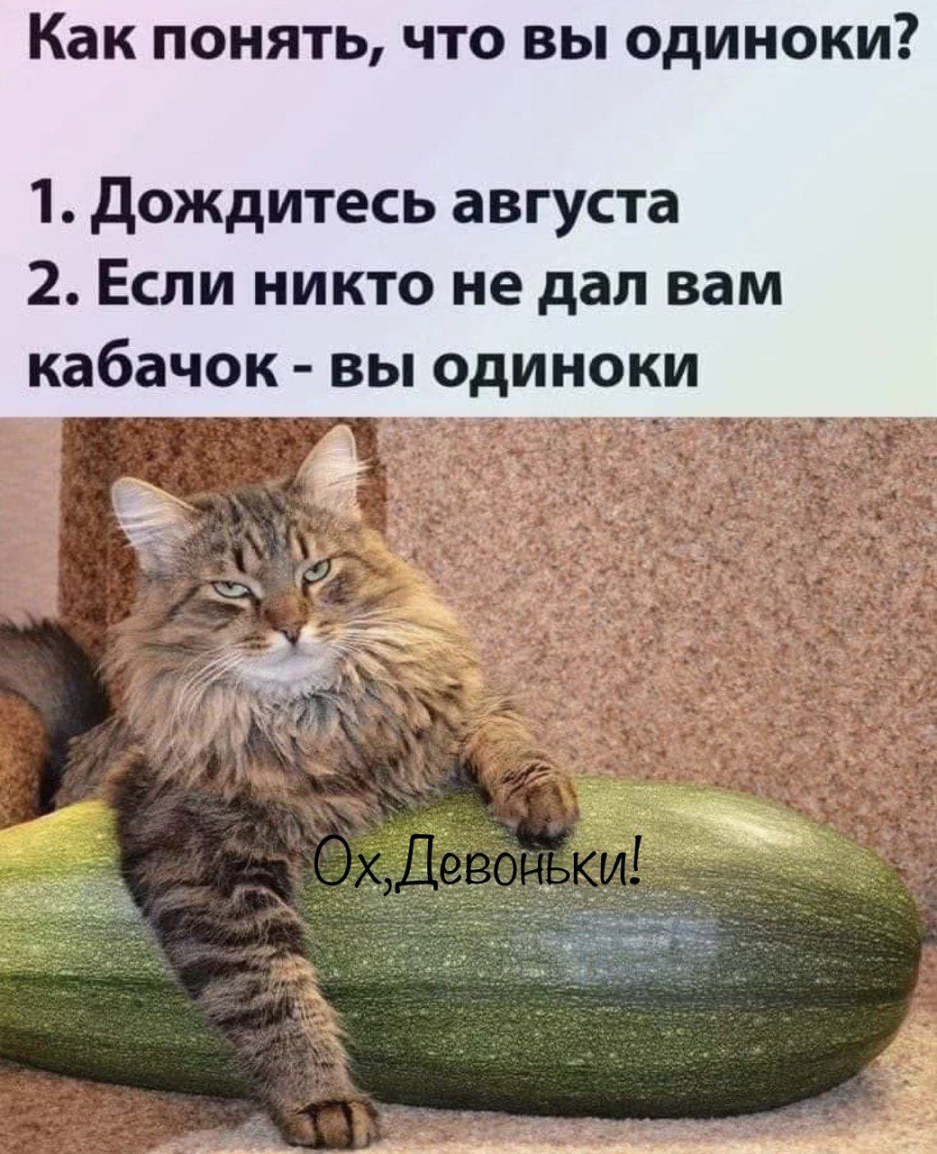 Как понять что вы одиноки 1 дождитесь августа 2 Если никто не дал вам кабачок вы одиноки