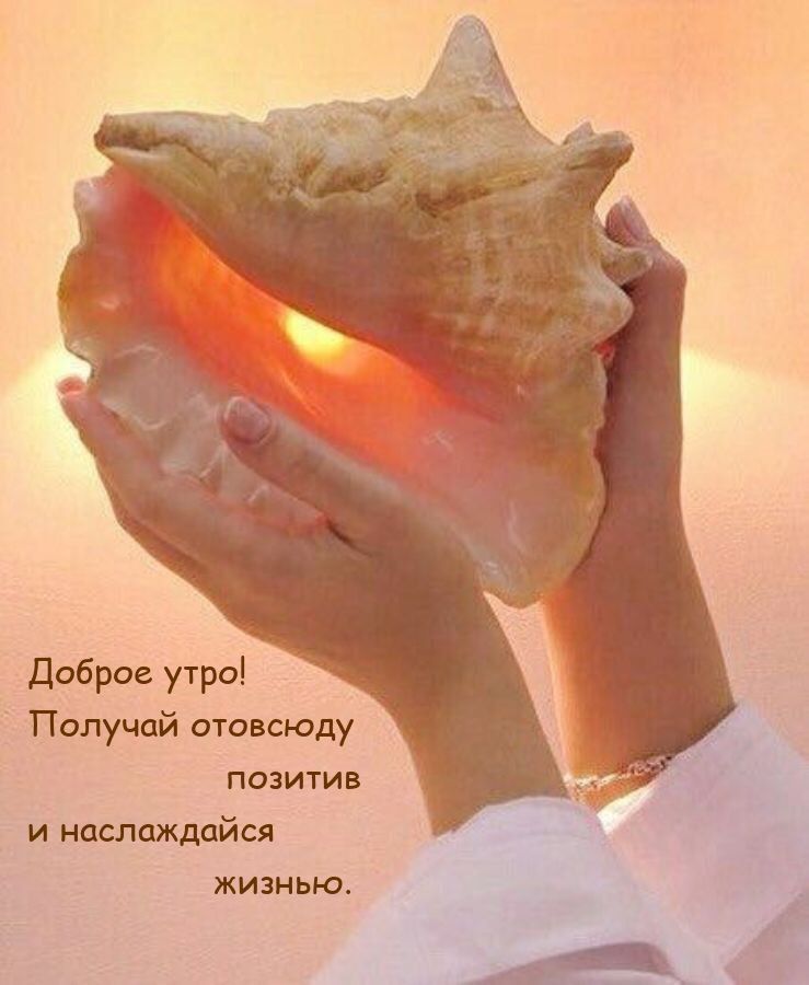 Двброе утра Получай отовсюду позитив и ипшаждцйся жизнью