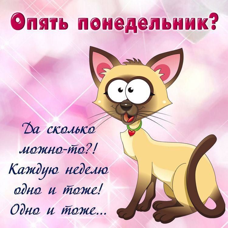 ПЯ1Ъ ПОПВДВПЪПИК