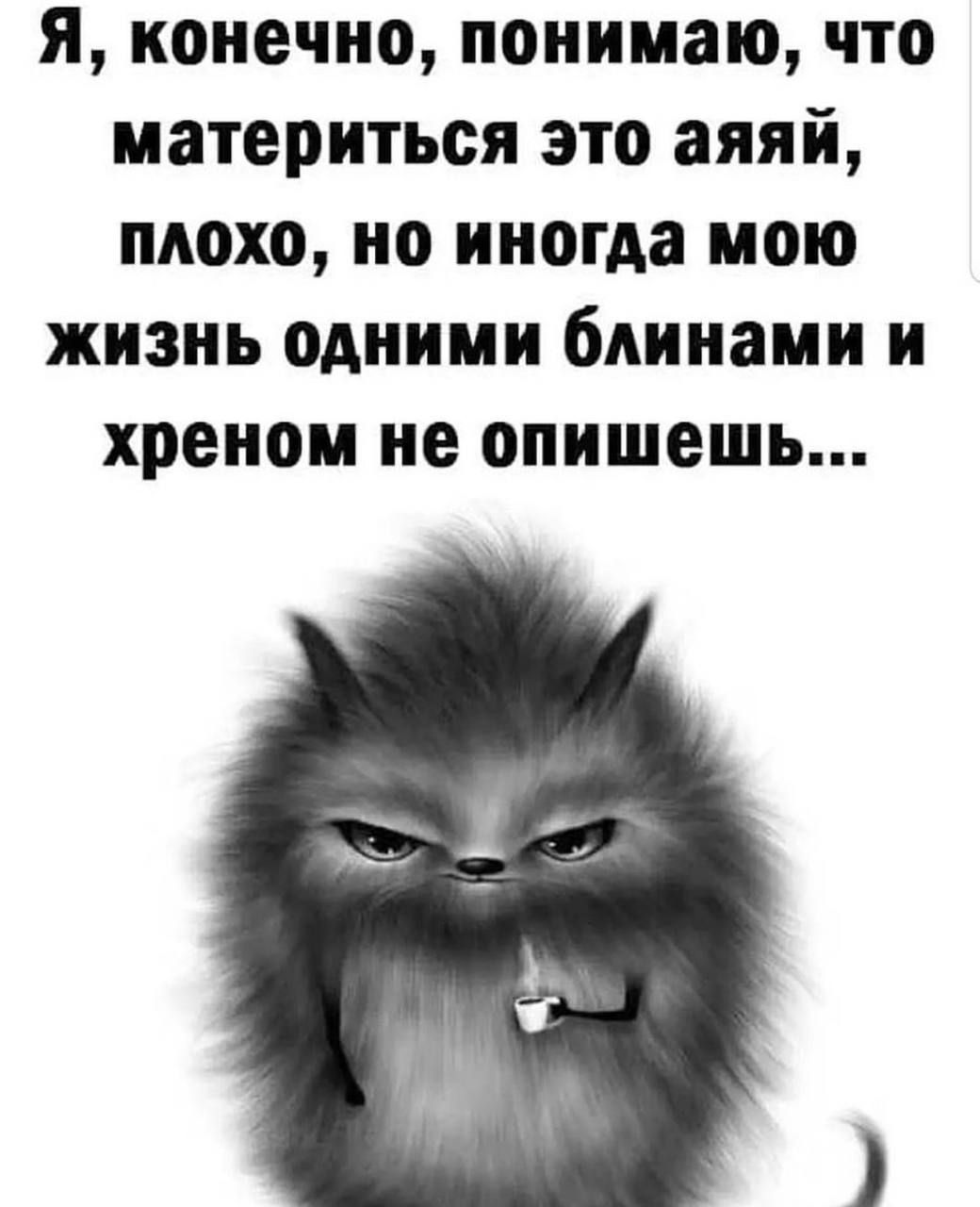 я конечно понимаю что материться это аяяй плохо но иногда мою жизнь одними блинами и хреном не опишешь