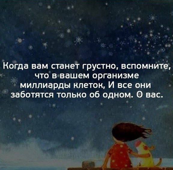 Коіда вам скане грустно вспомнит что в вашем организме миппиарды клеток И все они заботятся только об одном вас