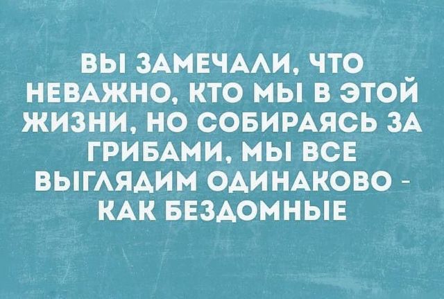 ВЫ ЗАМЕЧААИ ЧТО _ НЕВАЖНО КТО МЫ В ЭТОИ ЖИЗНИ НО СОБИРАЯСЬ ЗА ГРИБАМИ МЫ ВСЕ ВЫГАЯАИМ ОАИ НАКОВО КАК БЕЗАОМНЫЕ