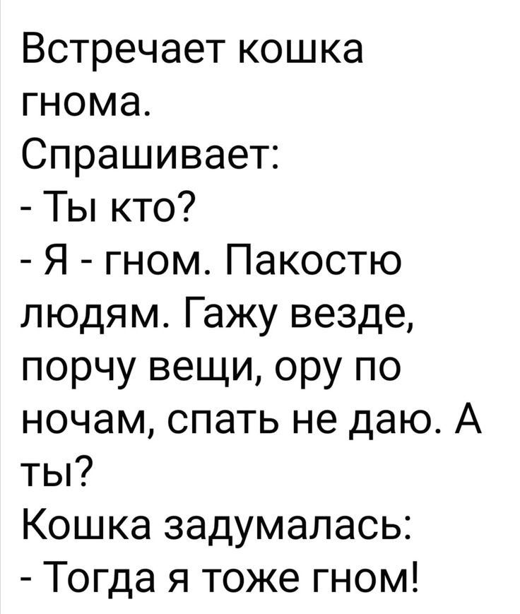 Встречает кошка гнома Спрашивает Ты кто Я гном Пакостю людям Гажу везде порчу вещи ору по ночам спать не даю А ты Кошка задумалась Тогда я тоже гном