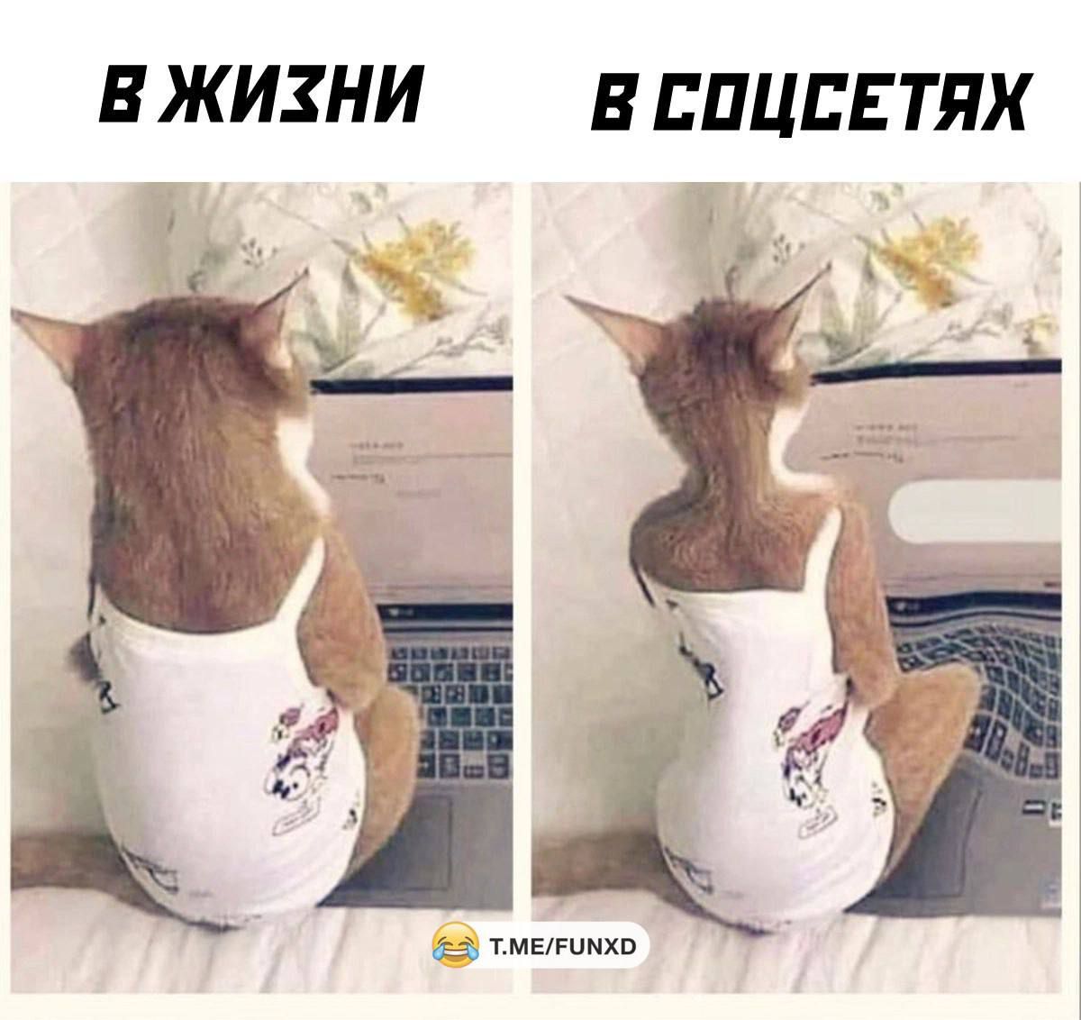 Е Ж ИЗНИ В ЕПЦБЕТЯХ Х