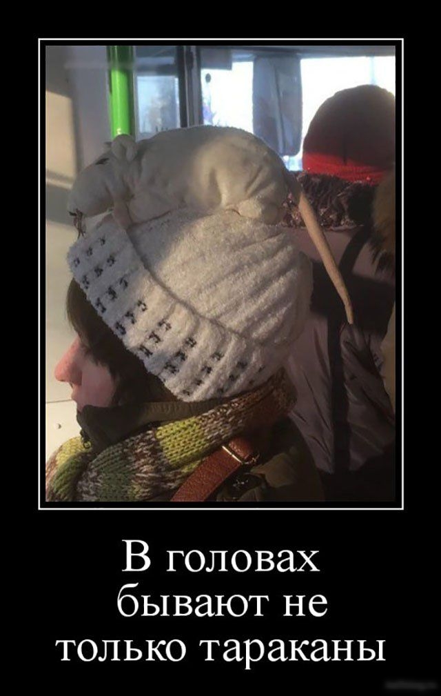 В головах бывают не только тараканы