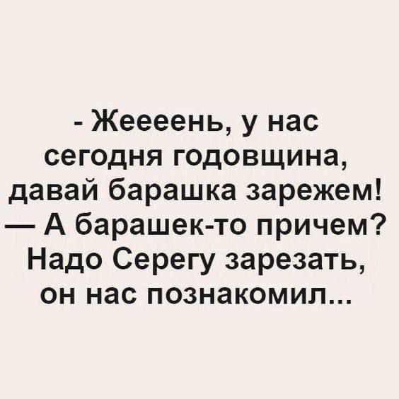 Жеееень у нас сегодня годовщина давай барашка зарежем А барашек то причем Надо Серегу зарезать он нас познакомил