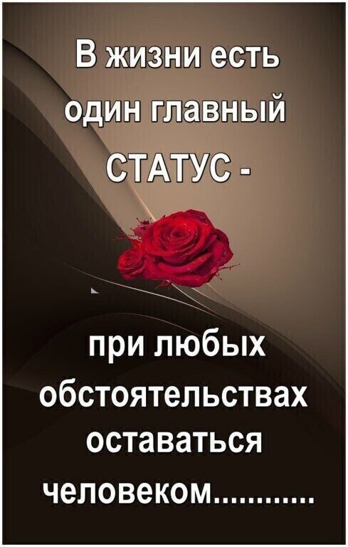 В жизни есть один главный СТАТУС при любых обстоятельствах оставаться человеком