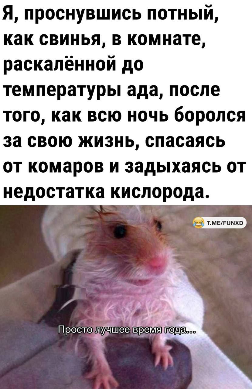 Я проснувшись потный как свинья в комнате раскалённой до температуры ада после ТОГО как ВСЮ НОЧЬ боролся за СВОЮ ЖИЗНЬ спасаясь ОТ КОМЗРОВ И задыхаясь ОТ недостатка кислорода тмтимхп