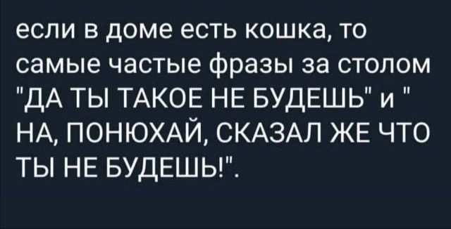 если в доме есть кошка то самые частые фразы за столом ДА ТЫ ТАКОЕ НЕ БУДЕШЬ и НА ПОНЮХАЙ СКАЗАЛ ЖЕ ЧТО ТЫ НЕ БУДЕШЬ