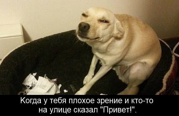 Ш Когда у тебя плохое зрение и кто то на улице сказал Привет
