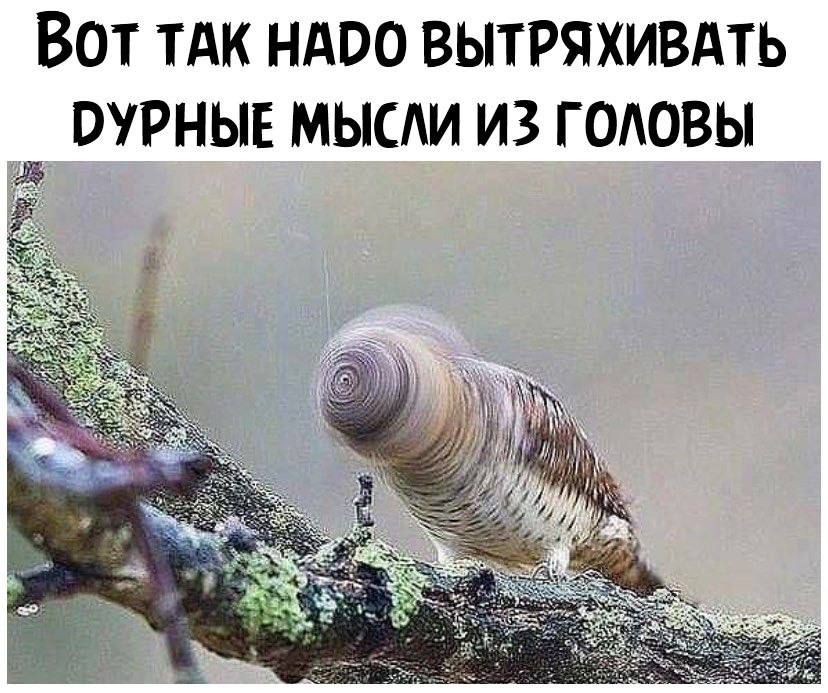 ВОТ ТАК НАОО ВЫТРЯХИВАТЬ ОУРНЫЕ МЫСАИ ИЗ ГОАОВЫ Д