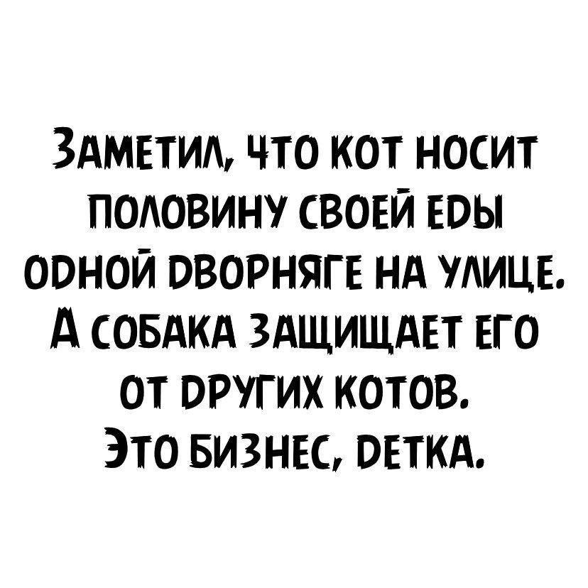 ЗАМЕТИЛ ЧТО КОТ НОСИТ ПОЛОВИНУ СВОЕЙ ЕРЫ ОРНОЙ РВОРНЯГЕ НА УЛИЦЕ А сОБАКА ЗАЩИЩАЕТ ЕГО ОТ ОРУГИХ КОТОВ Это БИЗНЕС ОЕТКА