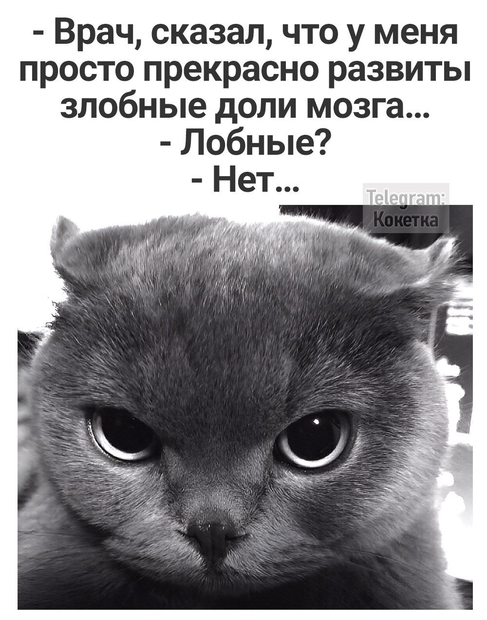 Врач сказал что у меня просто прекрасно развиты злобные доли мозга Лобные Нет