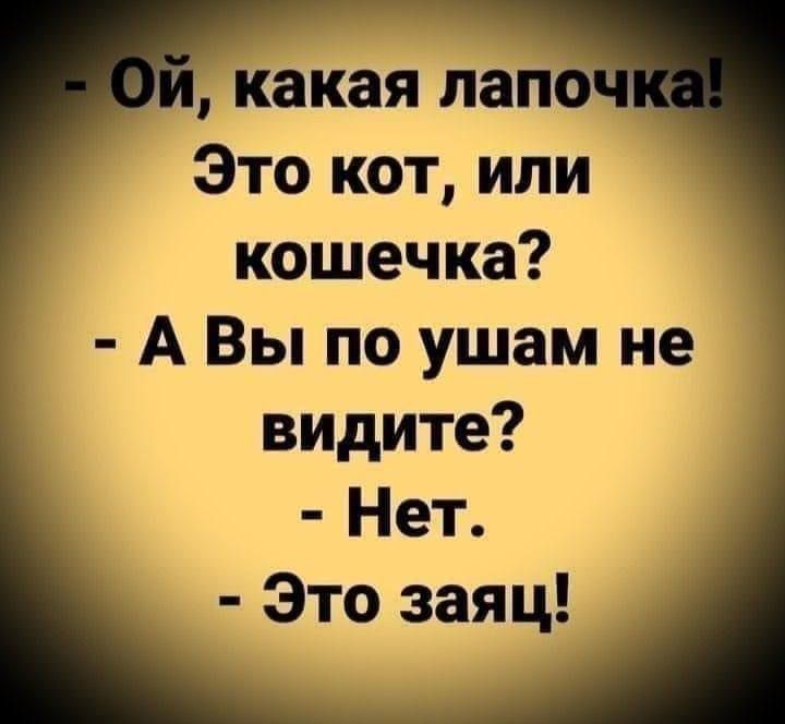 Ой какая лапоч Это кот или кошечка А Вы по ушам не видите Нет Это заяц