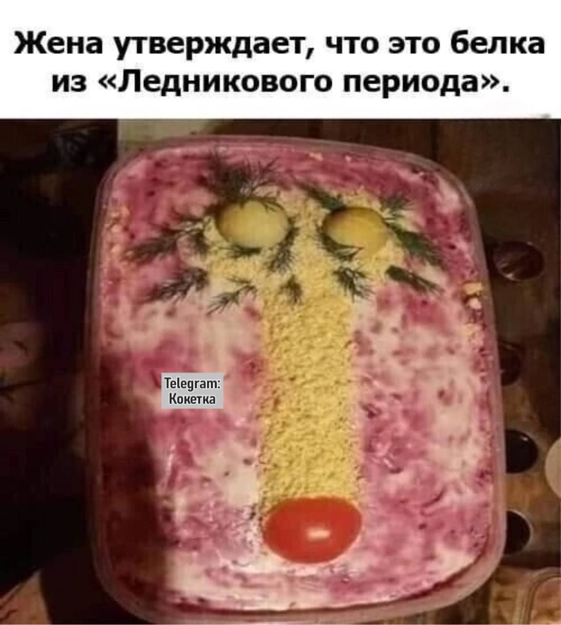 Жена утверждает что это белка из Ледникового периода