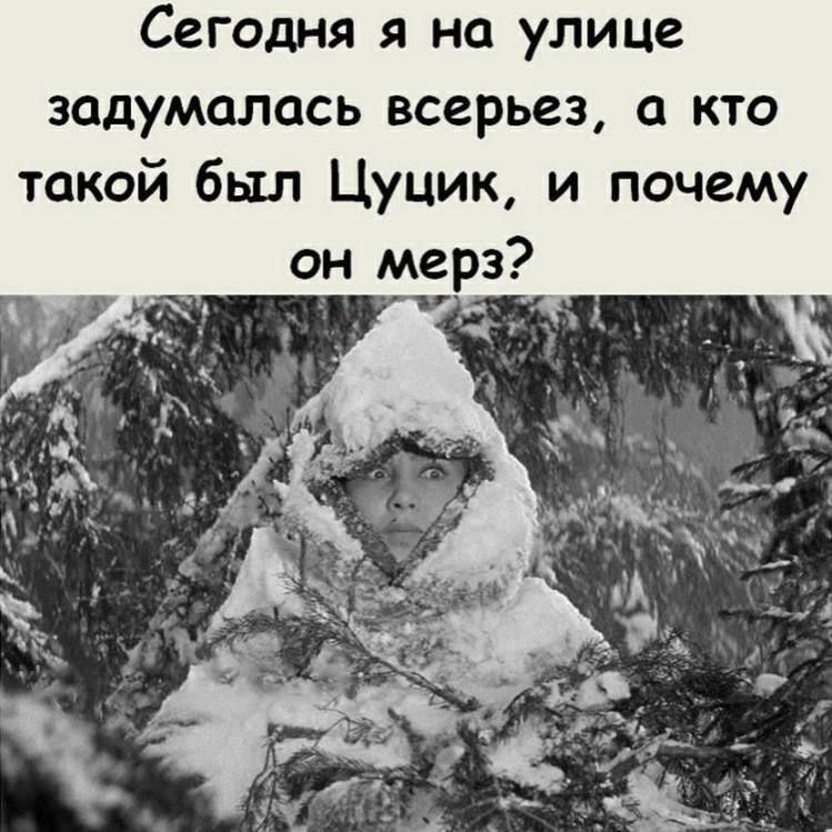 Сегодня я на улице задумалась всерьез а кто такой был Цуцик и почему он мерз