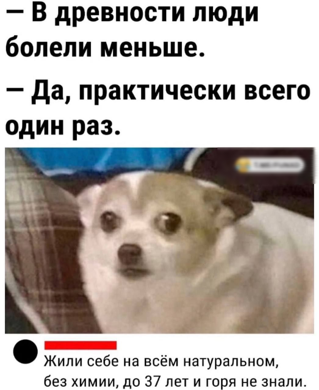 В древности люди болели меньше Да практически всего один раз Жили себе на всём натуральном без химии до 37 лет и горя не знали