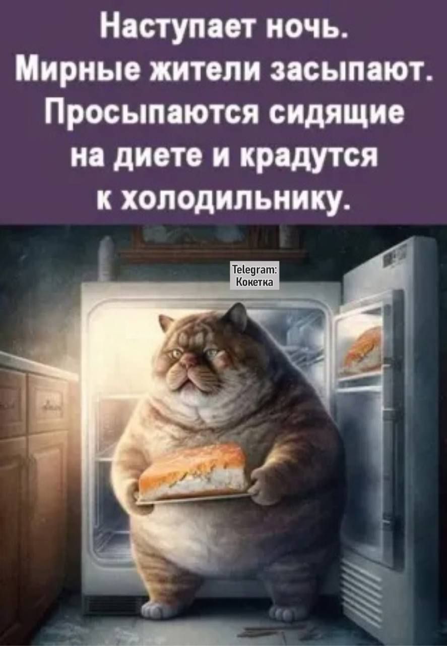 Наступает ночь. Мирные жители засыпают. Просыпаются сидящие на диете и крадутся к холодильнику.
