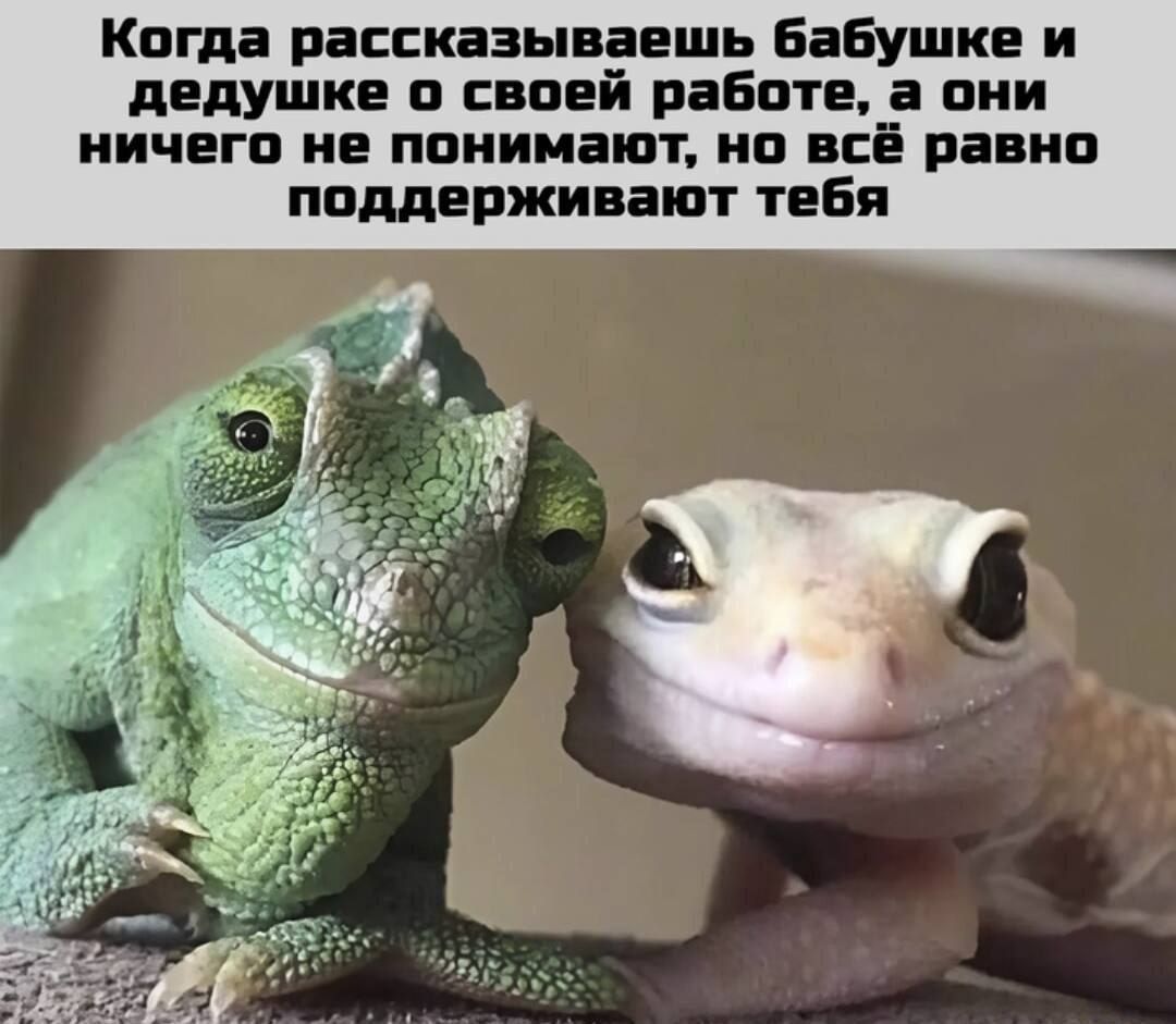 Когда рассказываешь бабушке и дедушке о своей работе, а они ничего не понимают, но всё равно поддерживают тебя