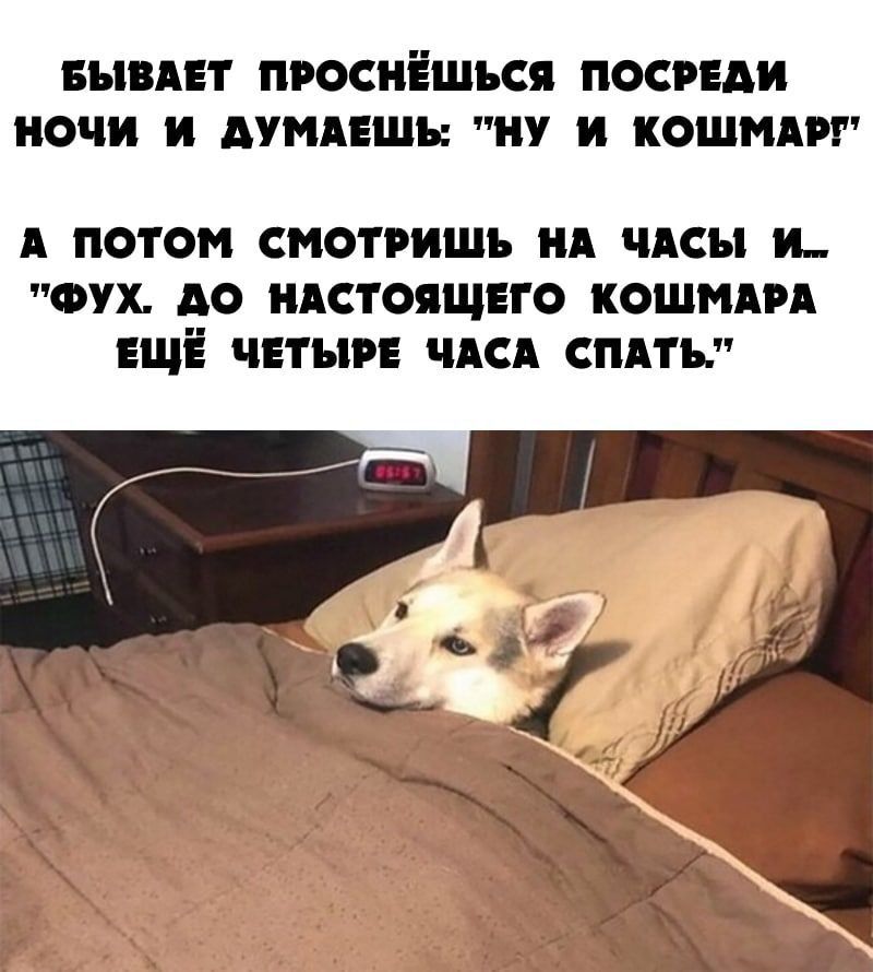 Бывает проснешься посреди ночи и думаешь: 