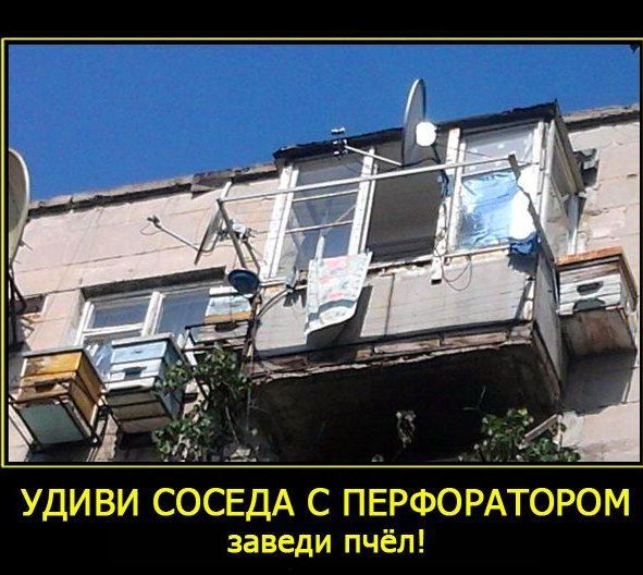 УДИВИ СОСЕДА С ПЕРФОРАТОРОМ
заведи пчёл!